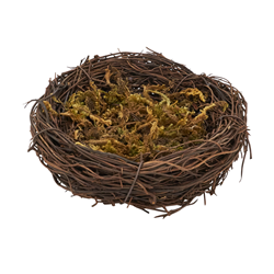 HA564 Nest With Moss