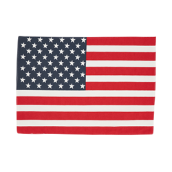0704 American Flag Design Placemat