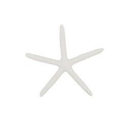 HA162 Resin Starfish