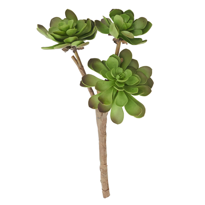 FL323 Succulent Stem