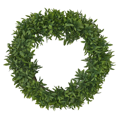 WR151 Capsicum Wreath