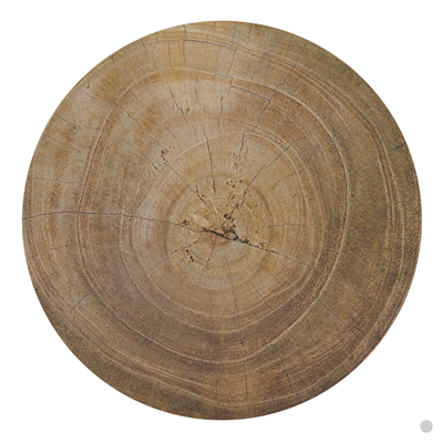 2302 Wood Print Placemat