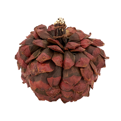 HA647 Pinecone Pumpkin